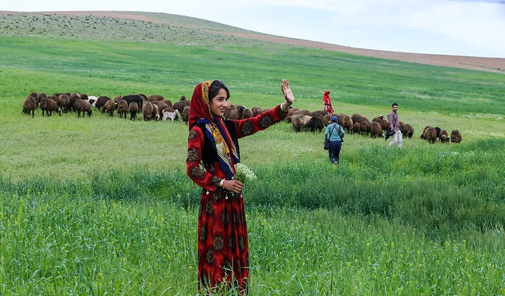 اسکان داوطلبانه ۹۰هزار خانوار عشایری