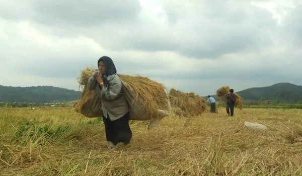 ایجاد سامانه جامع آماری عشایری و روستایی کشور