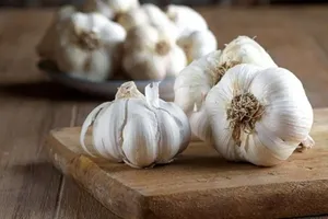 کشف ماده‌ای شگفت‌انگیز در سیر کهنه با اثرات ضدپیری