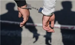 متهم : شاکیان دروغ می‌گویند، تبانی کرده‌اند