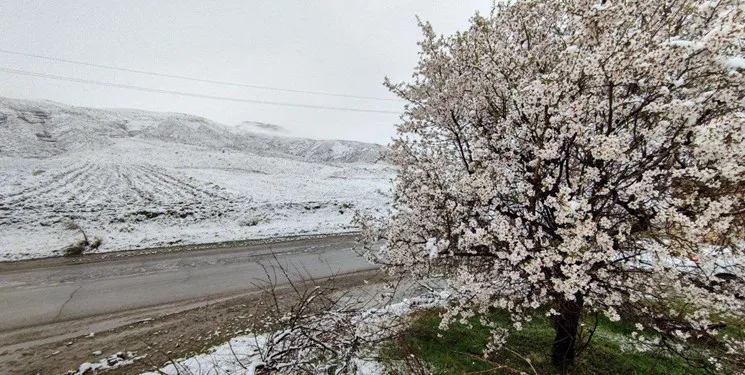 هشدار هواشناسی برای ۲ استان / این مناطق شاهد برف بهاری خواهند بود