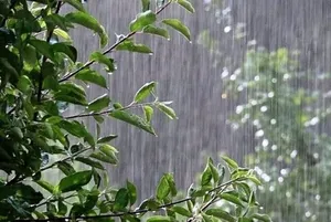 خبر خوش هواشناسی برای همدانی‌ها / منتظر بارش باران باشید