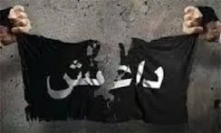 آزادی اولین منطقه در بخش غربی شهر موصل