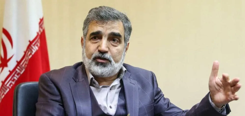 سخنگوی سازمان انرژی اتمی دچار حادثه شد