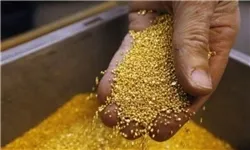 قزاقستان سال آینده ٢ تن طلای ایران را مورد پردازش قرار می‌دهد