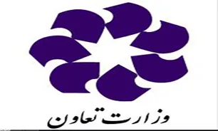 تعاونی‌ها بهترین بستر برای فعالیت زنان تحصیلکرده و ماهر