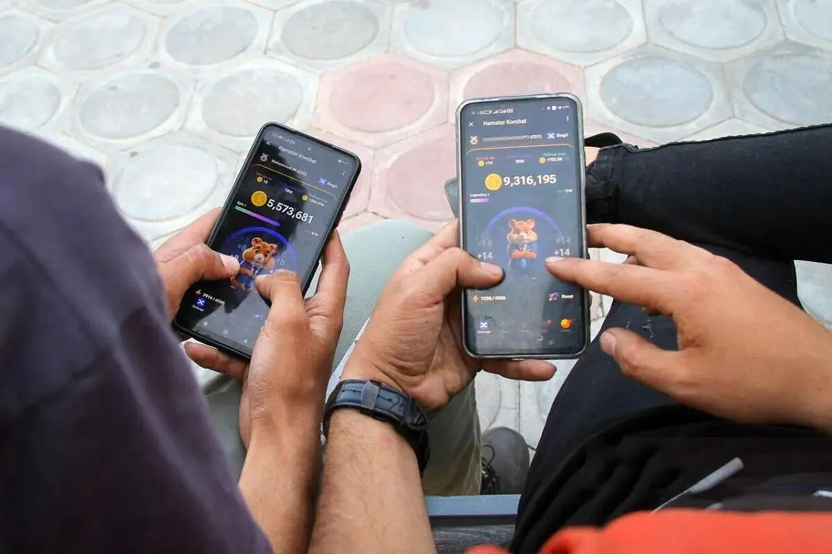 پایان جنجالی همستر کامبت