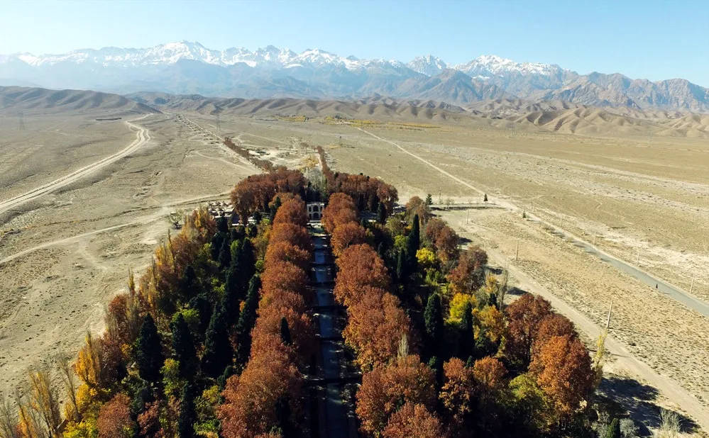 عکس هوایی زیبا از باغی در میان کویر