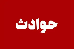 نوجوان ۱۴ ساله قربانی حمله خرس شد / قوه قضائیه ورود کرد