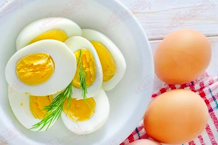 تولید یک عدد تخم مرغ برای مرغدار چقدر هزینه دارد؟