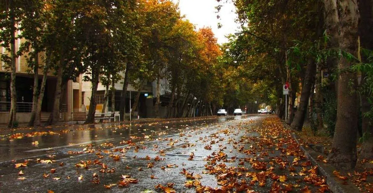 نام یک بازیگر زن مشهور بر خیابانی در تهران+ عکس