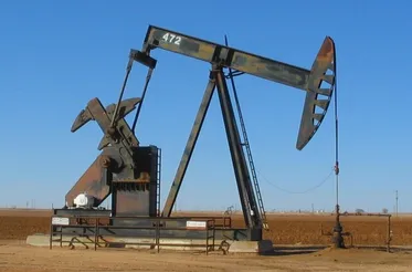 Iran unveils 1st oil well equipped with AI