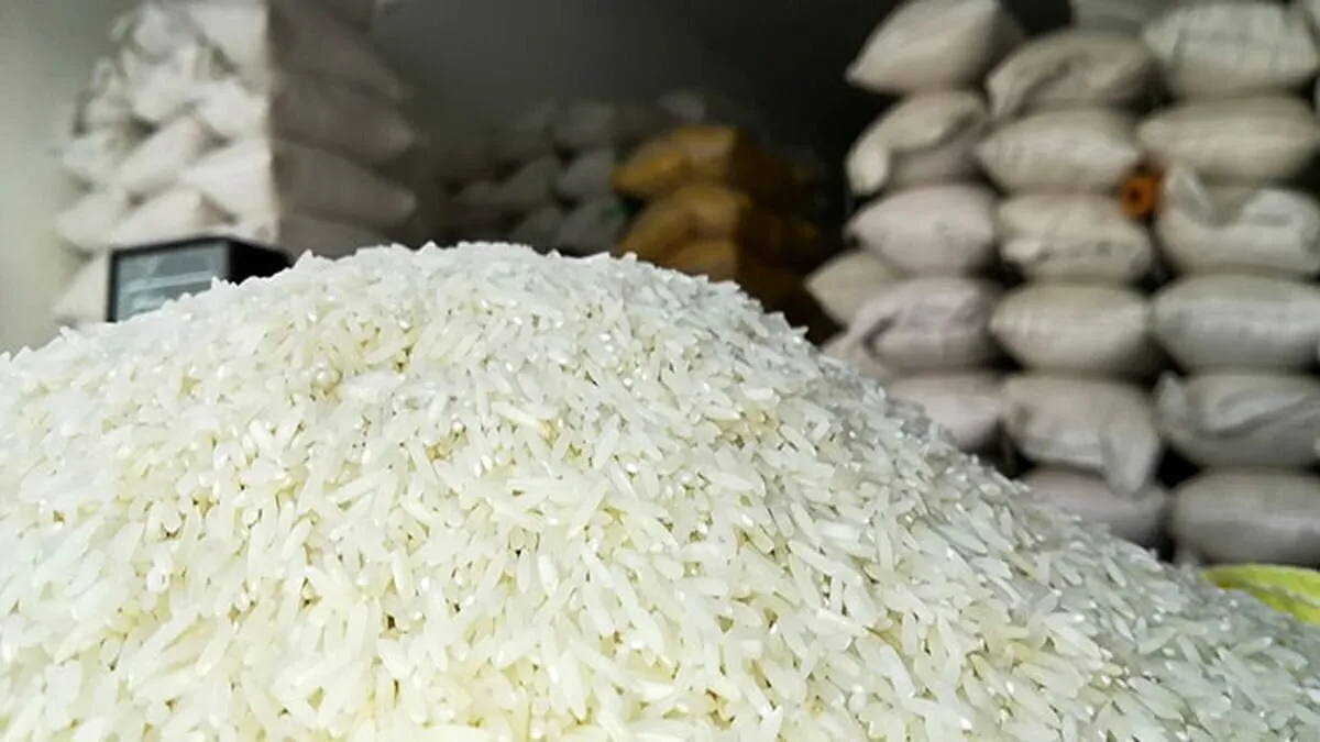 رئیس انجمن تولیدکنندگان و تأمین‌کنندگان برنج تکلیف برنج را روشن کرد