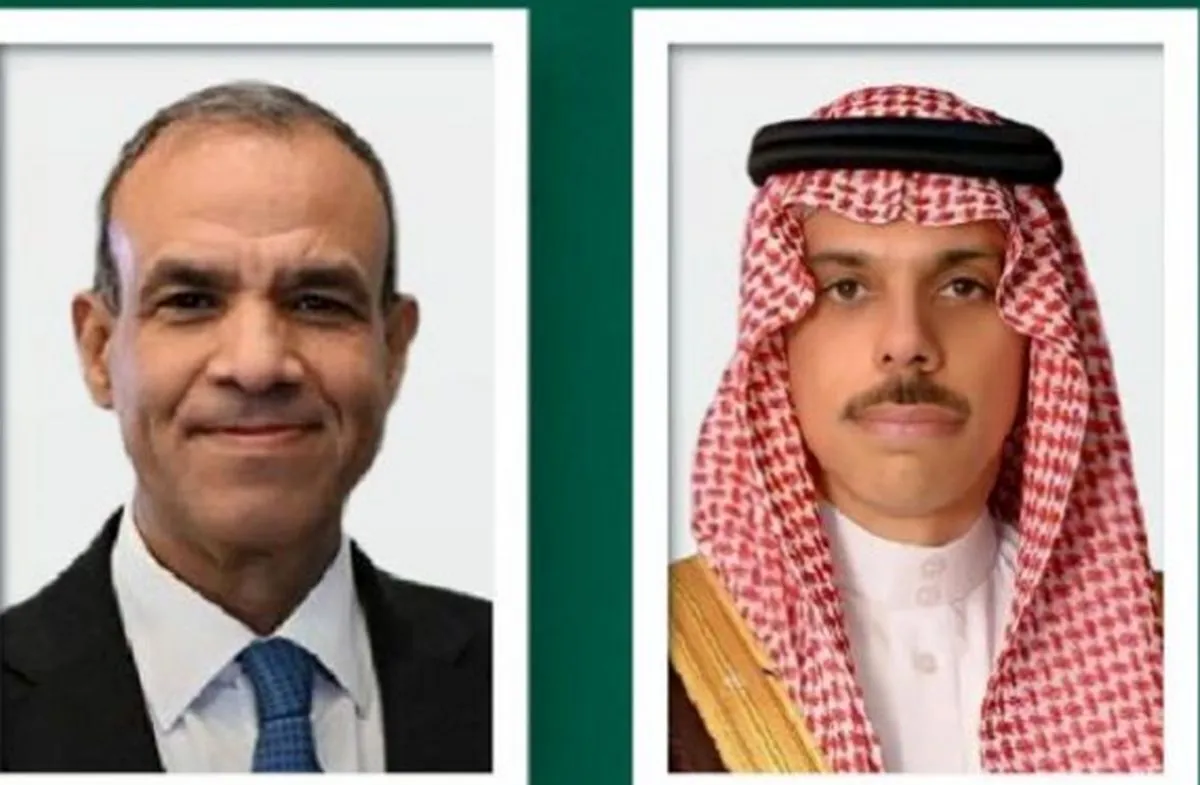جزئیات گفت‌وگوی وزیران خارجه عربستان و مصر