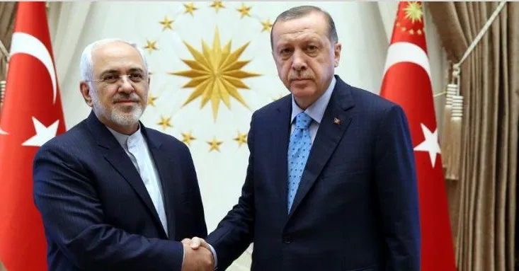 دیدار ظریف با اردوغان در ترکیه +عکس