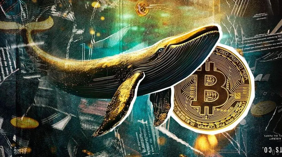 سیگنال‌های صعود از دل اصلاح بازار/ نهنگ‌های بیت‌کوین در کف قیمت می‌خرند!