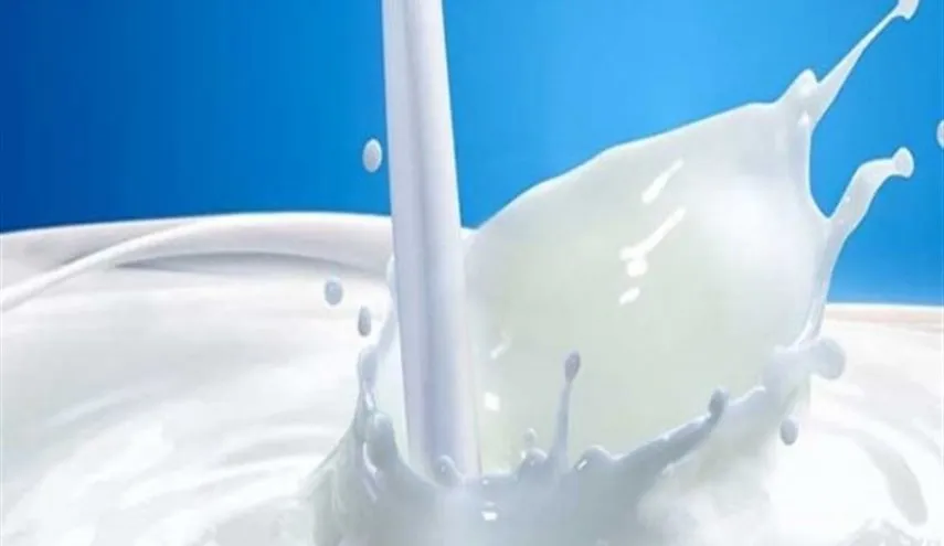 عرضه ۵۰تن شیر خام در بورس کالا