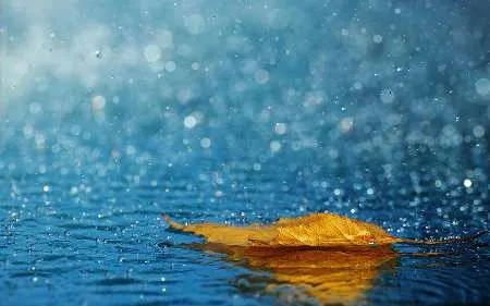 کاهش ۵درصدی حجم بارش‌های کشور