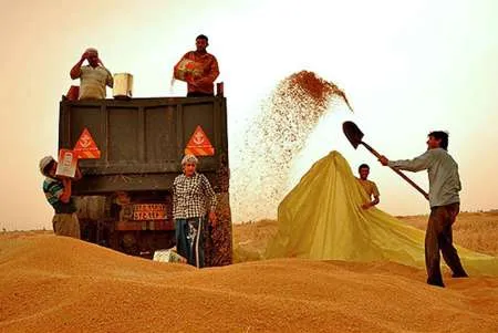گندمکاران دوباره به رییس جمهور نامه نوشتند