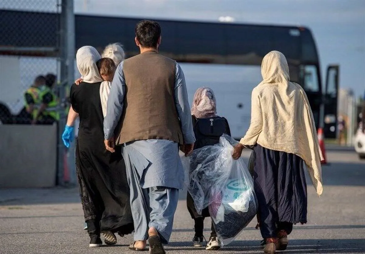 پناهجویان افغان از اروپا اخراج می‌شوند؟ مذاکره با طالبان برای بازگرداندن افغانستانی‌ها