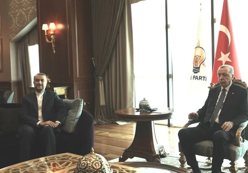 دیدار امیرعبداللهیان با اردوغان