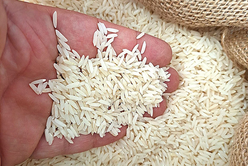 بهترین مارک برنج ایرانی برای خرید کدام است؟ بهترین مارک برنج ایرانی برای خرید کدام است؟