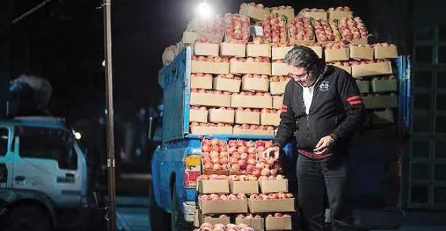 بزرگ‌ترین گمرک ویتامین ایران