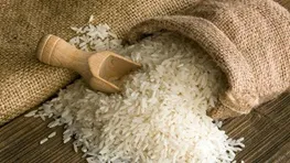 برنج وارداتی سفره ایرانی‌ها چقدر هزینه برداشت؟