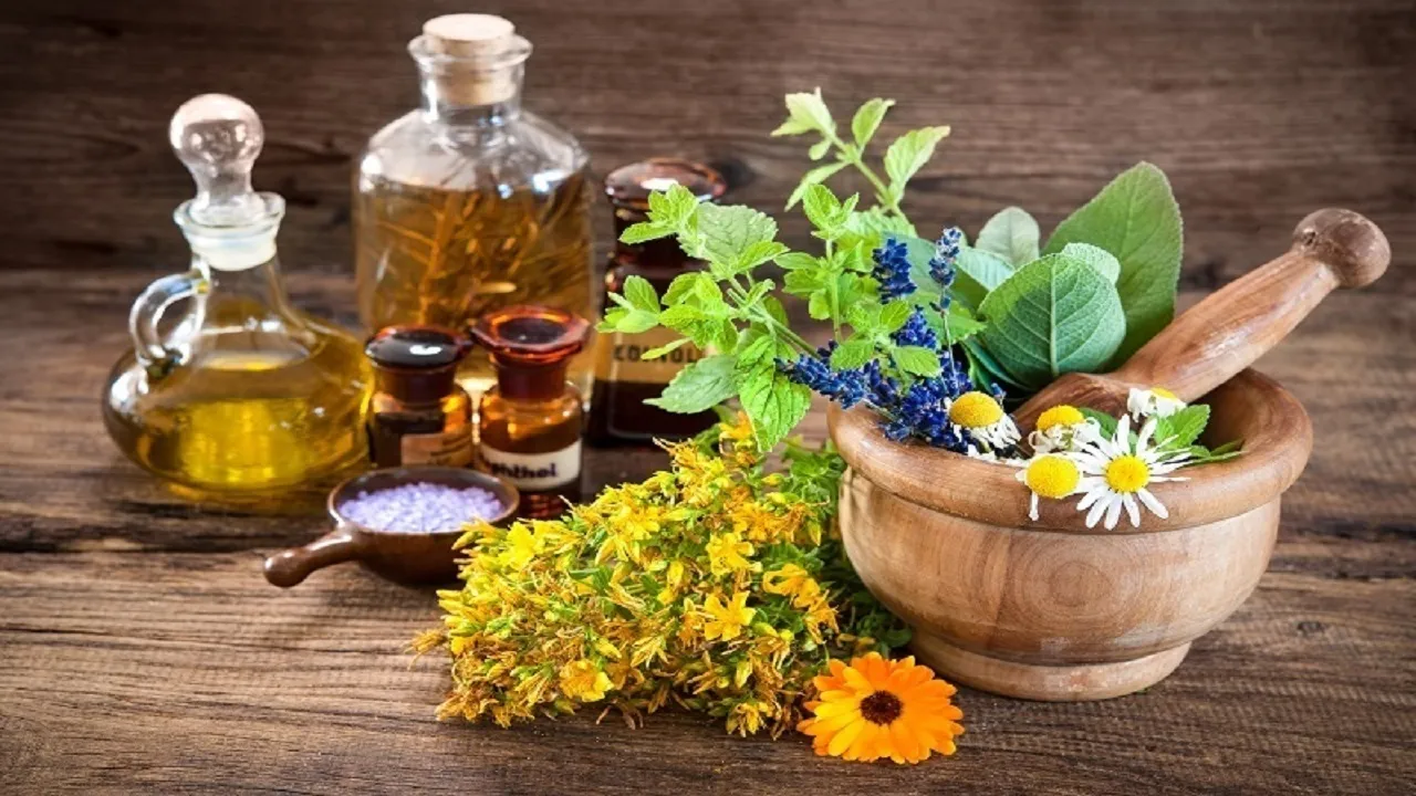 ١٠ داروی گیاهی درمان کرونا