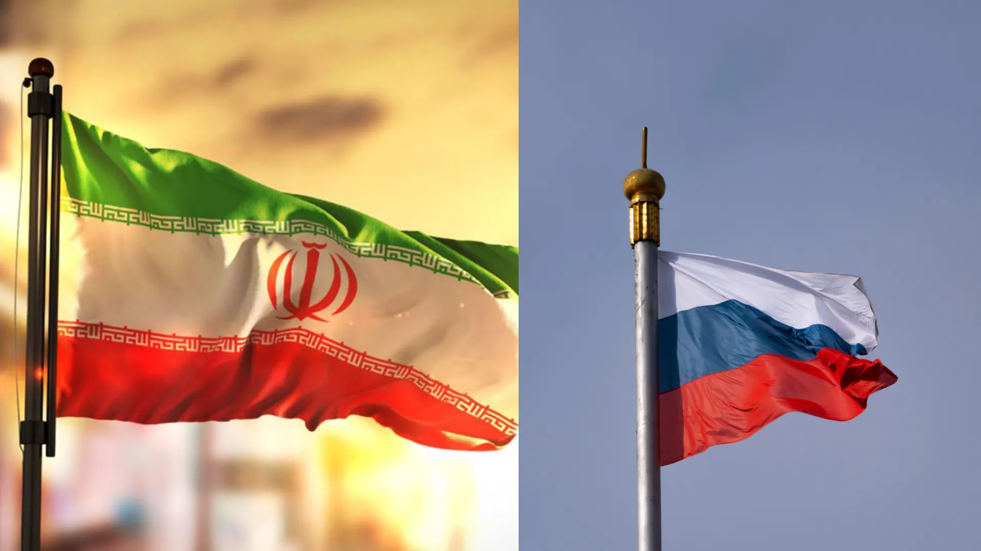 سرمایه گذاری سودآور در فارم‌ های روسیه با داراماینر