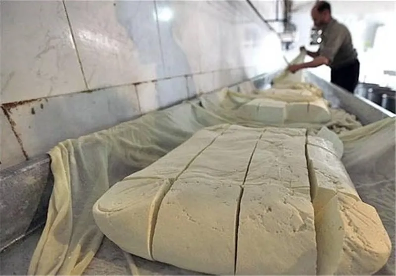 چمنی: ۴۰۰نوع پنیر در کشور تولید می شود
