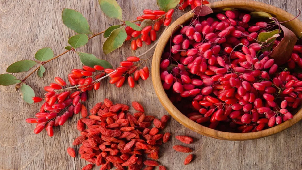 آشنایی با فواید درمانی گوجی بری خشک!