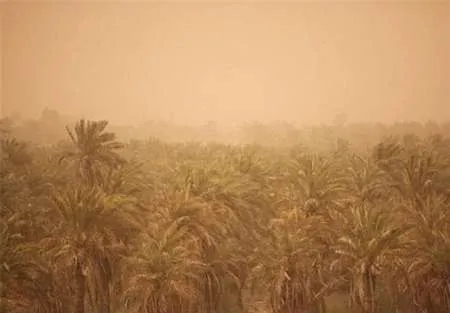 انتقال آب خوزستان، دلیل ریزگردها