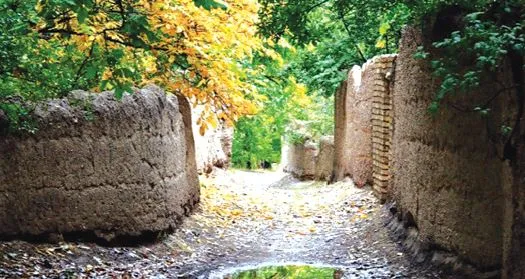نوشدارو برای شهر چنارستان‌ها