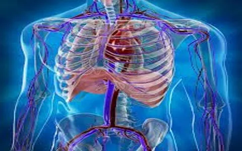 بهبود گردش خون با این مواد غذایی