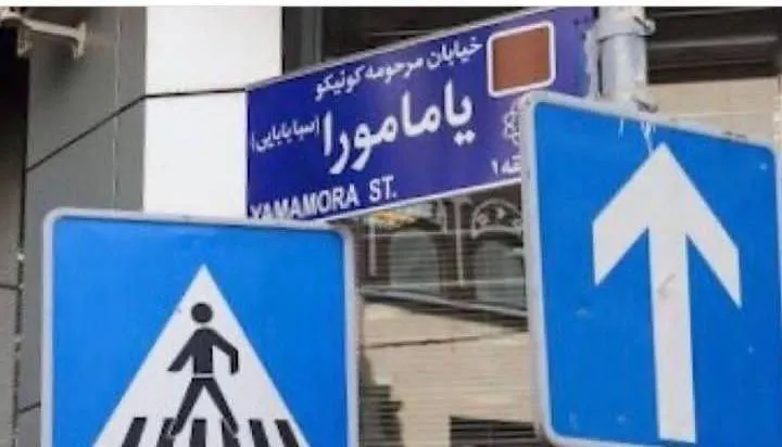 تغییر نام یک خیابان در تهران به اسم زن ژاپنی! + عکس