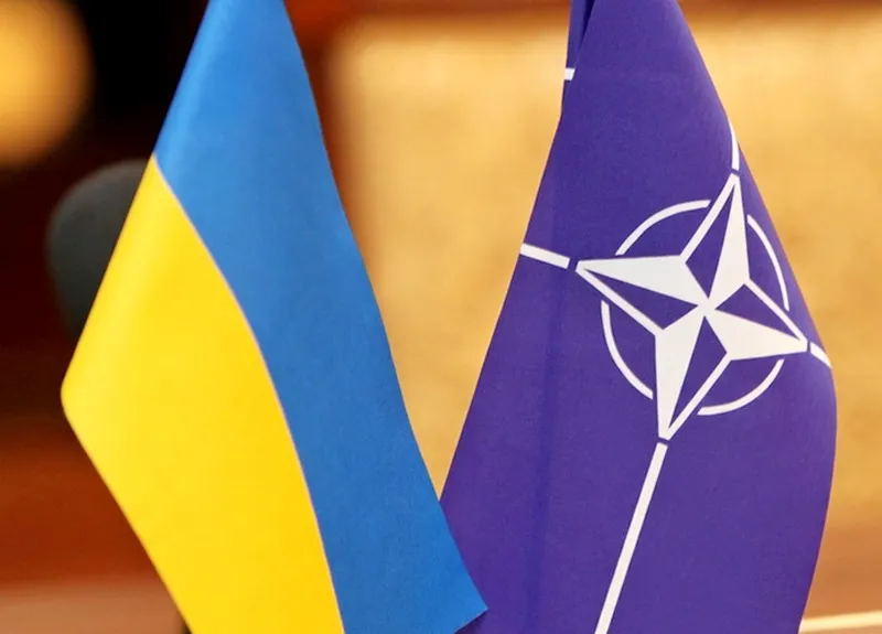 Pledging reforms by 2020, Ukraine seeks route into NATO