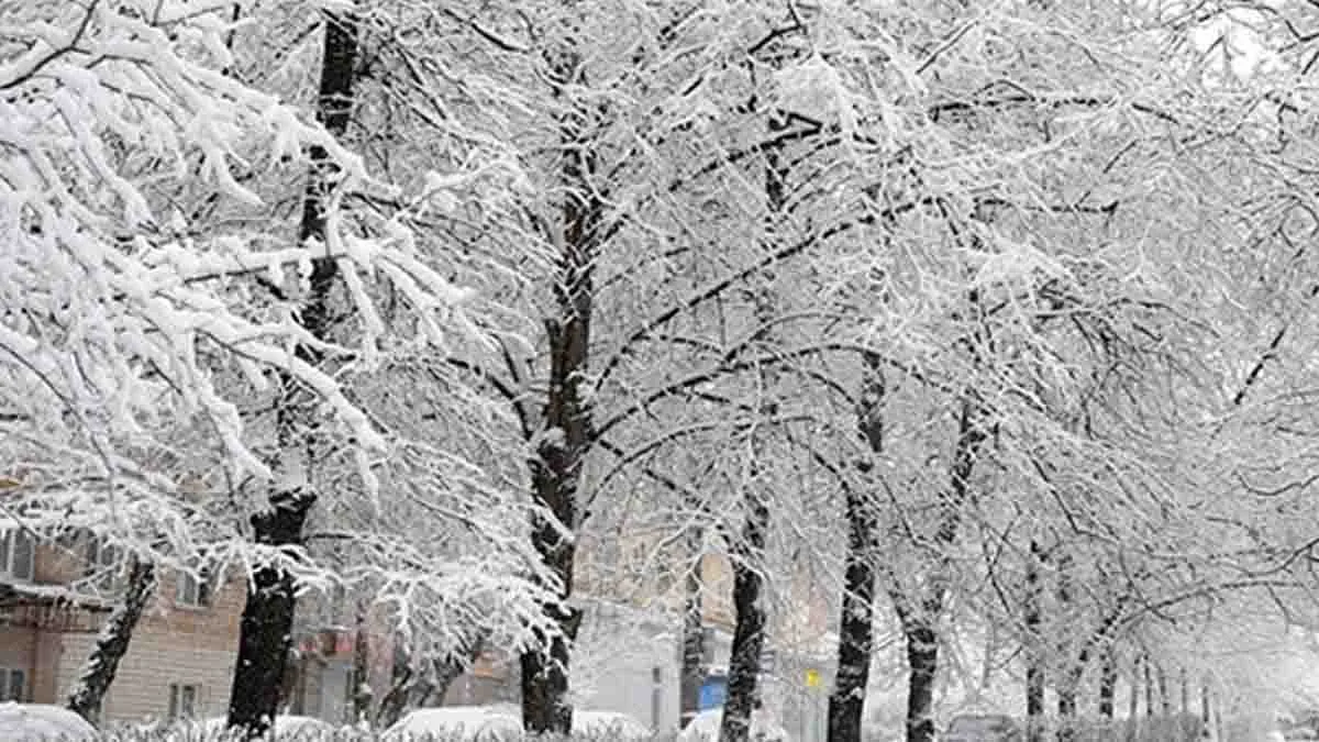 بارش برف در اردبیل + فیلم