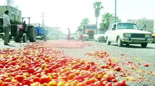 اشک‌ها و گوجه‌ها در جاده‌های هرمزگان!