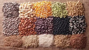 خبر خوش برای بخش کشاورزی / وابستگی به بذرهای خارجی کمتر شد