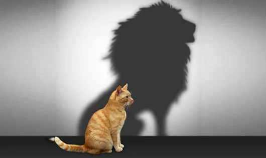 خودشیفتگی بیماری است؟ حقایق باور نکردی درباره سندروم مگالومانیا