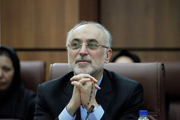 تکذیب بازداشت یک جاسوس در منزل رییس سازمان انرژی اتمی