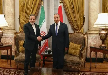 Egypt Highlights Efforts to Ease Regional Tensions