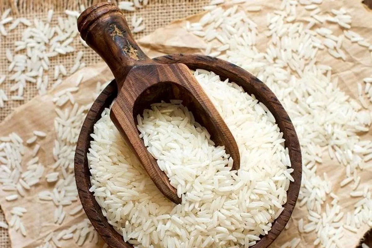 یک پیش‌بینی مهم درباره برنج/ قیمت برنج ارزان می‌شود؟