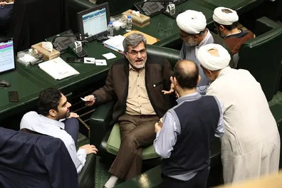 حواشی-مجلس-تمامی-ندارد-اطلاعات-برخی-نمایندگان-باید-در-رفتار-خویش-تأمل-کنند-چرا-نخبگان-را-از-بازگشت-به-کشور-منصرف-می-کنید