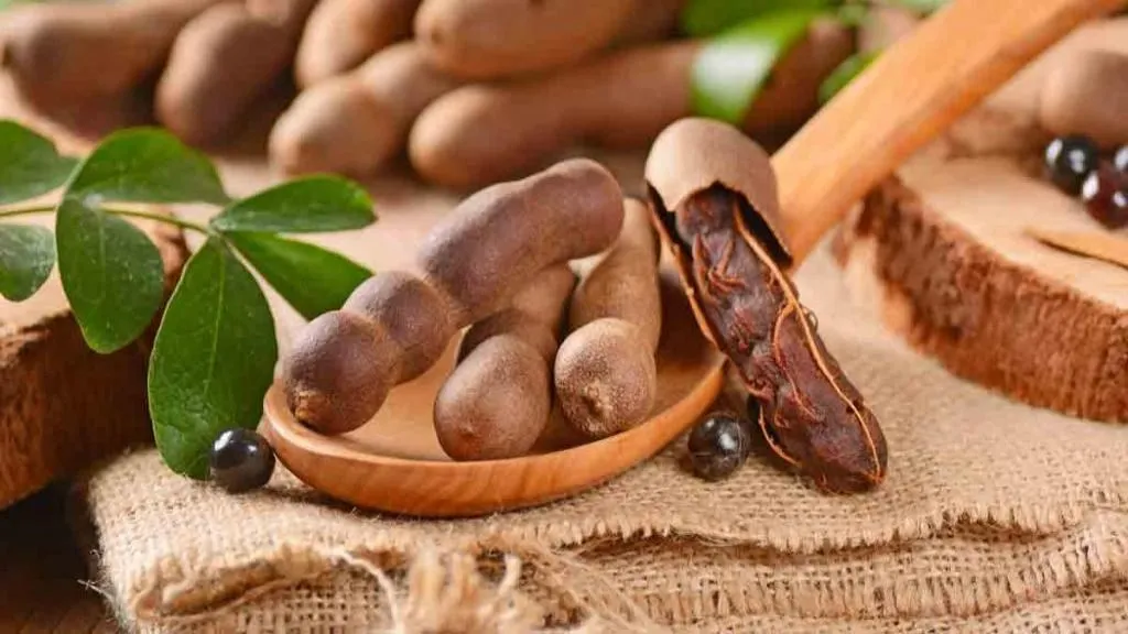 ۸ مزیت فوق العاده تمرهندی برای سلامتی