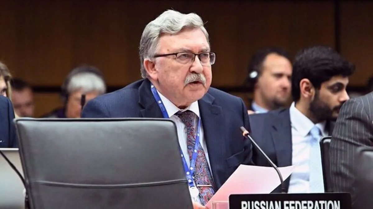 US resolution on Hormuz Strait ‘not right’: Ulyanov