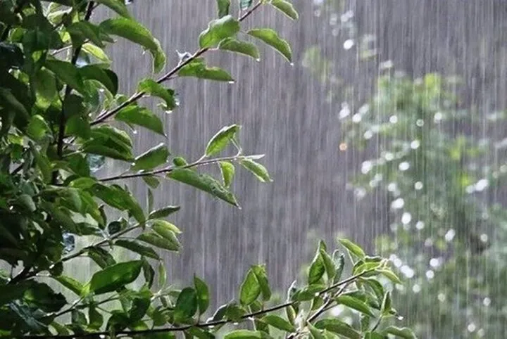 بارش شدید باران در سراوان + فیلم