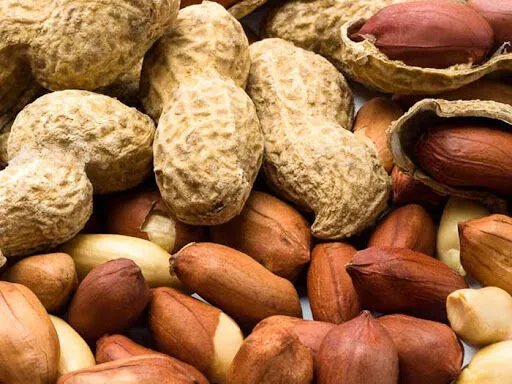 نوآوری تولید چرم از بادام زمینی! + فیلم