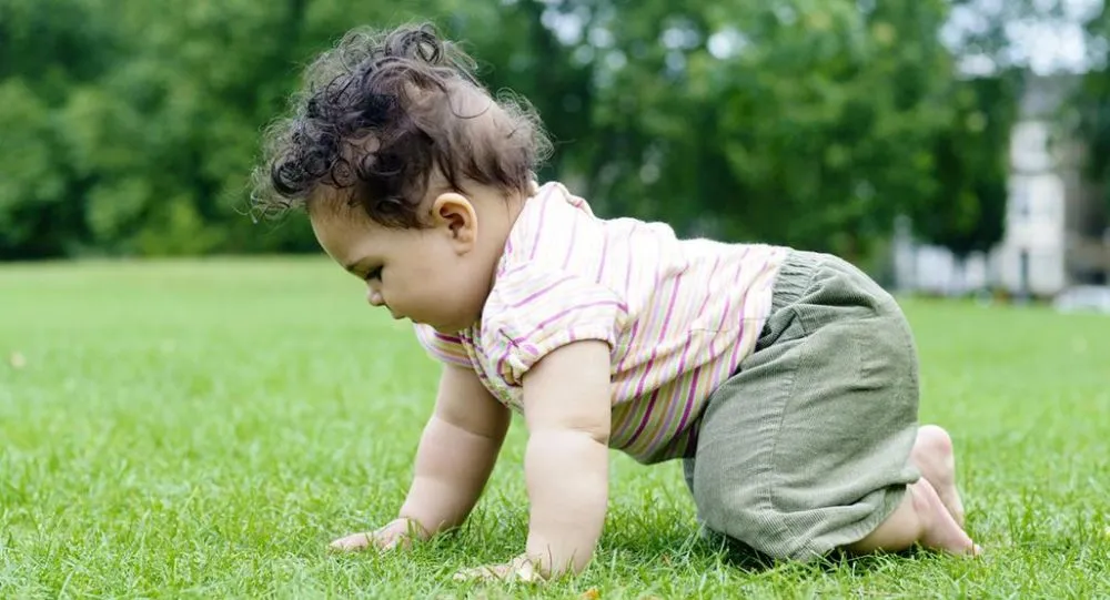 همه چیز درباره چهار دست و پا رفتن نوزاد